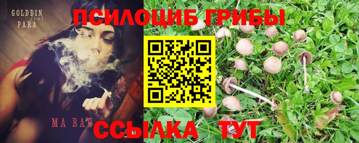 Астрахань  Псилоцибиновые грибы Magic Shrooms  Вход с VPN 