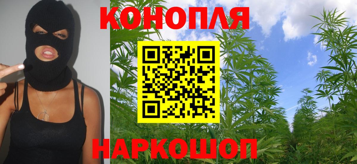 Астрахань  Конопля SATIVA & INDICA  Бошки марихуана ГИДРОПОН  Вход с VPN 